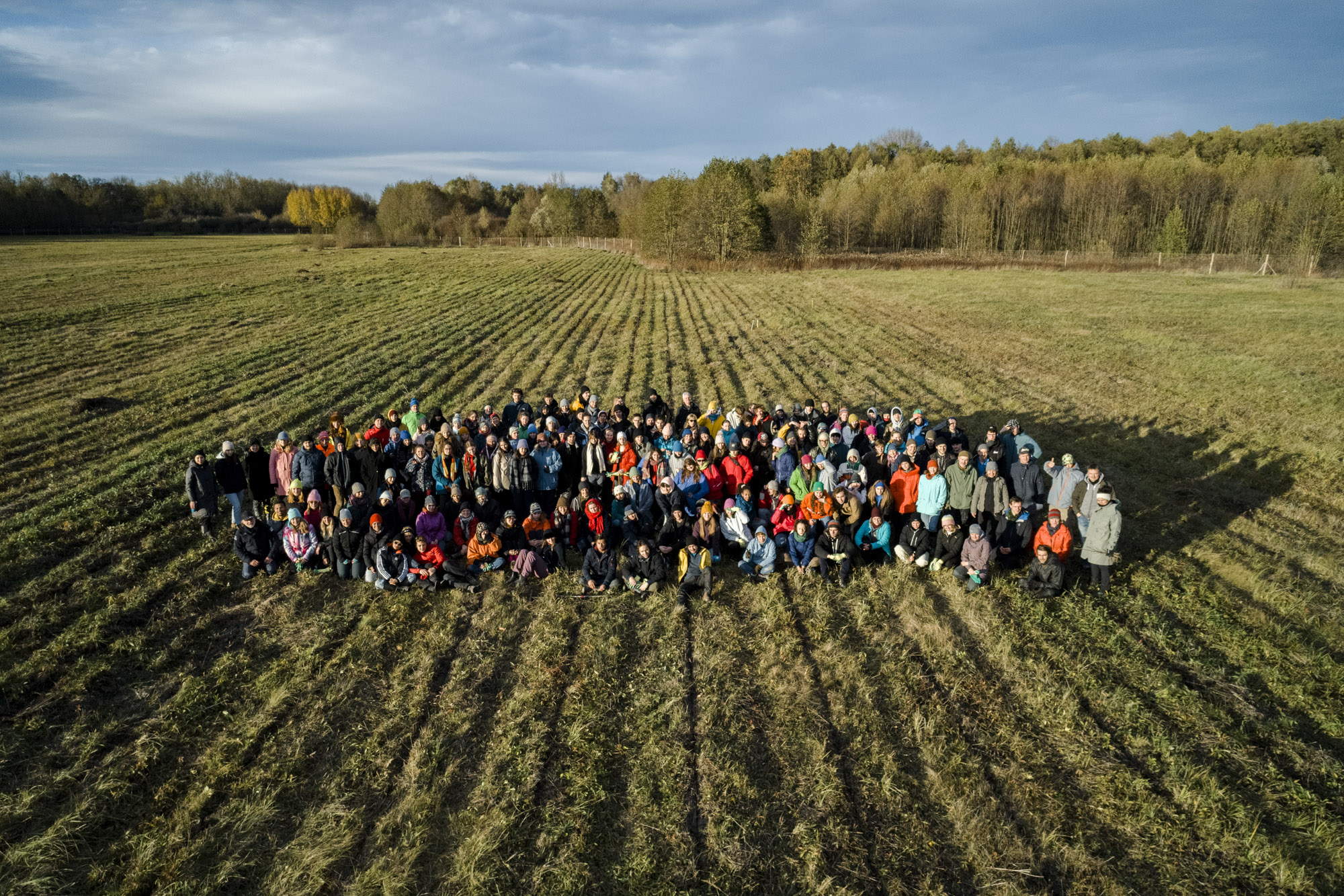 Planting 20K Trees in One Day: MOME Zero Plantathon